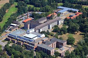 Prof. MD P. Hammerer