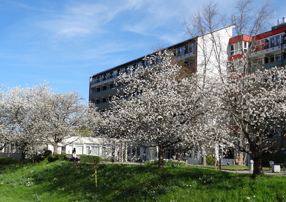MD A. Remiszewski